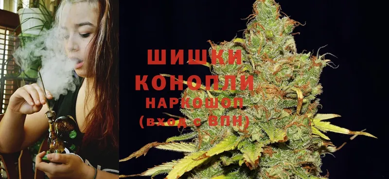 Бошки марихуана SATIVA & INDICA  нарко площадка официальный сайт  Сосновка 